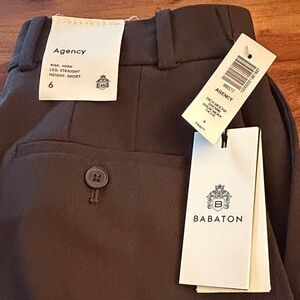 Aritzia - Babaton rich mocha brown Agency city wool Women's Pants Short